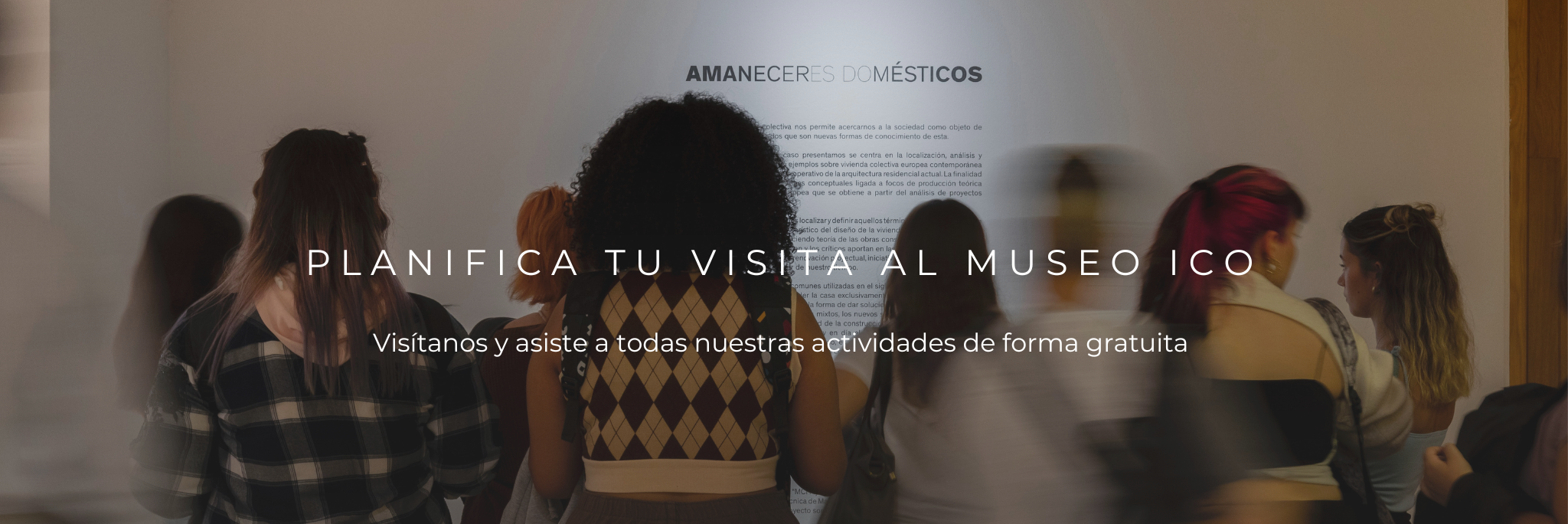 Grupo visitantes Museo ICO